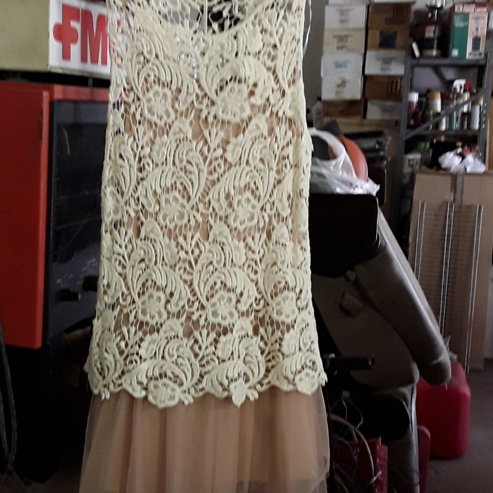Lace and tulle dress